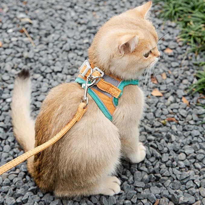 Cat Harness and Leash Set, Cat Leash and Harness Set with Reflective Strips, Escape Proof Adjustable Cat Harness, for Small Medium Large Pet Puppy Kitten Rabbit (Orange Green, 3XL)