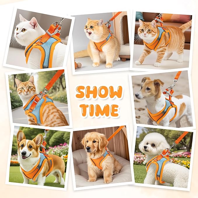 Cat Harness and Leash Set - Adjustable Soft Vest, Reflective Step-in Design for Safe Walking (XXS, Orange/Blue)