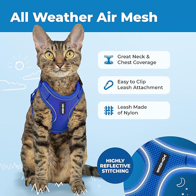 Voyager Escape-Proof Step-in Lock Cat Harness & 5ft Neoprene-Handle Leash Set All-Weather Mesh with Reflective Stitching for Small to Large Cats by Best Pet Supplies, Royal Blue (327), XXS