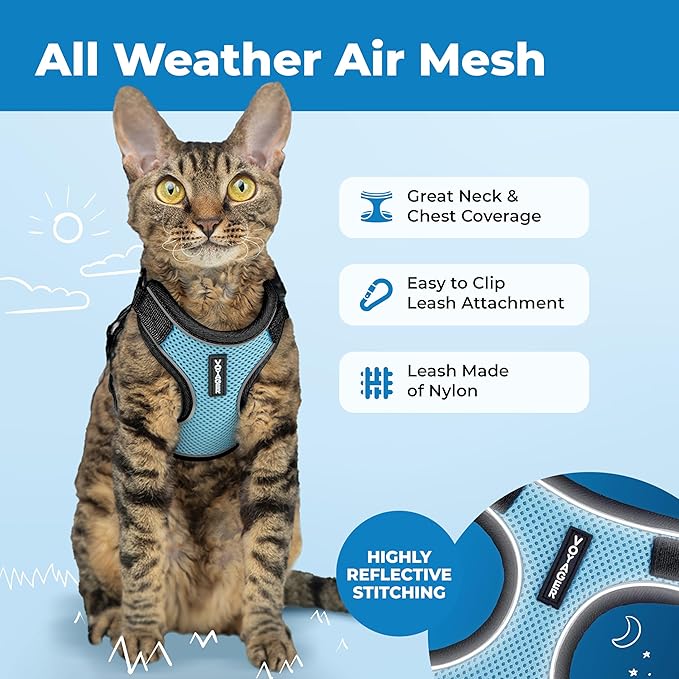 Voyager Escape-Proof Step-in Lock Cat Harness & 5ft Neoprene-Handle Leash Set All-Weather Mesh with Reflective Stitching for Small to Large Cats by Best Pet Supplies, Black Trim-Baby Blue (327), S