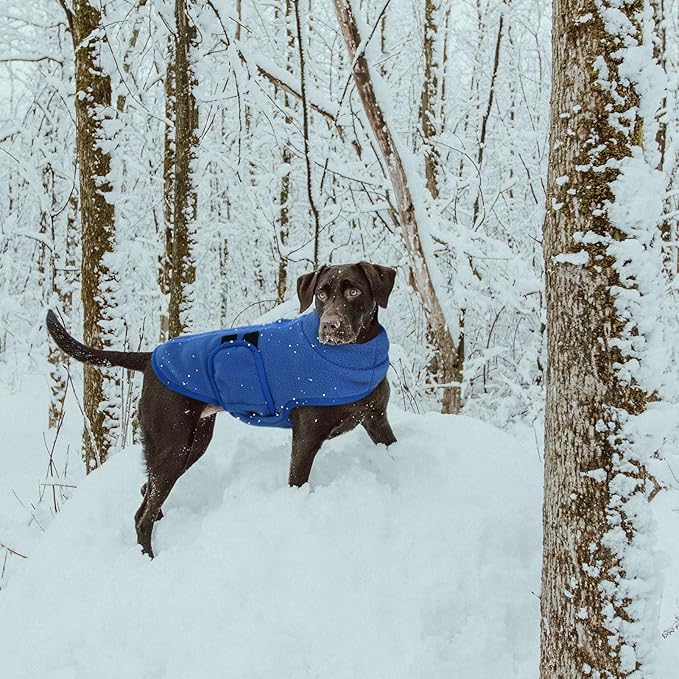 Queenmore Soft Fleece Dog Jacket, Warm Winter Coat with Leash Hole, Dachshund Sweaters for Small Dogs Cats (Blue, XL)