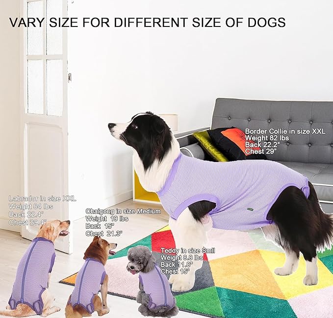 Dog Recovery Suit Purple Female Spay Surgical Small Shirt, Male Surgery Recovery Suit,Purple-White Striped S