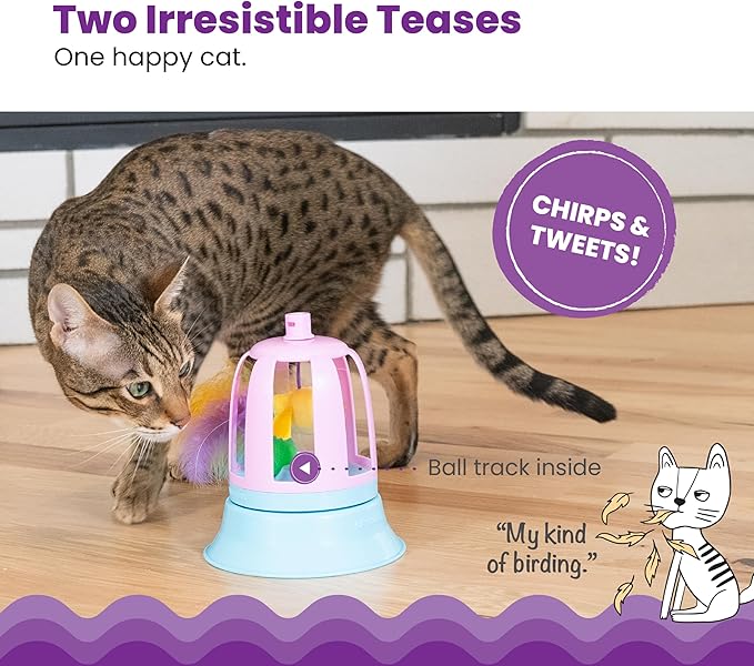 Catstages 2-in-1 Chirping Bird Interactive Cat Toy – Touch-Activated Toy with Sound and Ball Track Fun, Standalone Toy or Track Add-On, Purple