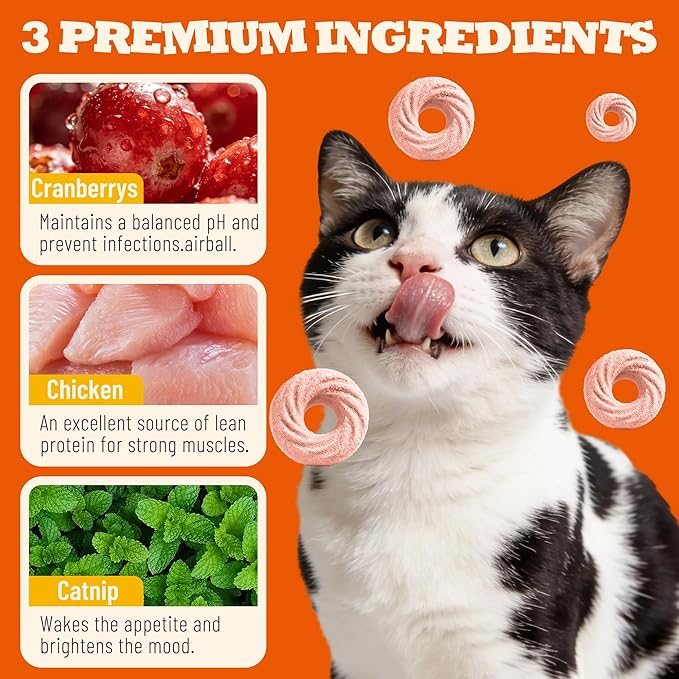 8 oz Cranberry Treats UT Support Catnip Flavor Healthy Cat Snacks Training Biscuits Cat Treats