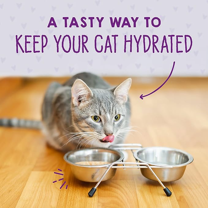 Stella & Chewy's Carnivore Cravings Purrfect Paté - Premium Grain-Free Wet Cat Food - Chicken & Salmon Recipe - High Protein with Bone Broth - Perfect for Picky Eaters - 5.2oz Cans (24 Pack)