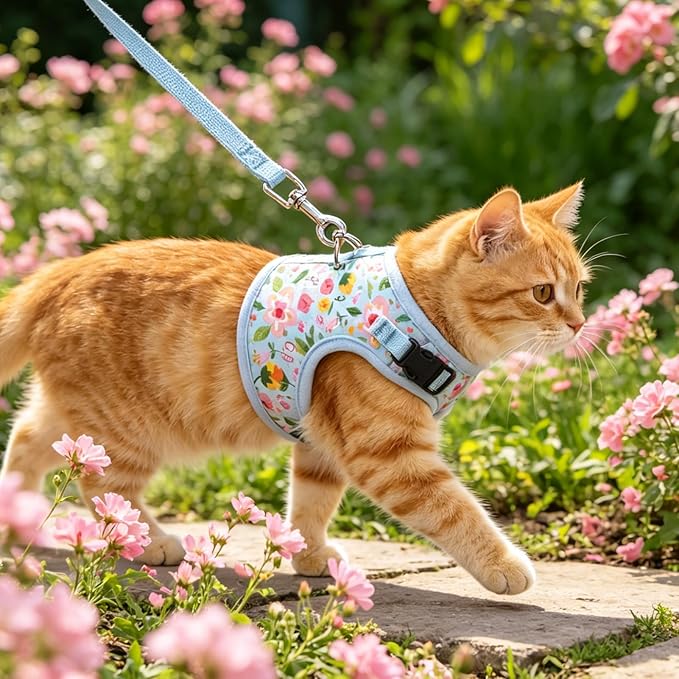 BINGPET Cat Harness and Leash Set Escape Proof for Walking,Step-in Harness with Lightweight Soft Breathable Mesh,Adjustable Easy Control Harness for Kitten Puppy Small Medium Large Cats(Flower,M)