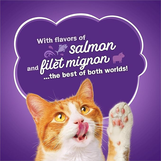 Dry Cat Food Surfin & Turfin Favorites 22 lb. Bag, Essential Fatty Acids to Help Support Healthy Skin and Coat