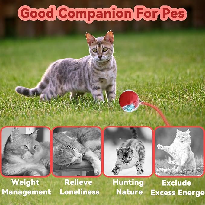 Speedy 2.0 Tail Interactive Cat Toys for Indoor Cats, Automatic Cat Toy with Elastic Mesh Tail, Electric Rolling Ball on Carpet, Chirping and Motion Activate Cat (Red)