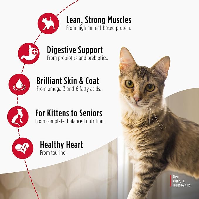 Nulo Freestyle Cat & Kitten Dry Food - Chicken & Cod Recipe, High Protein Grain Free Cat Food, Natural Kibble with Probiotics & Omega Fatty Acids, 2lb Bag