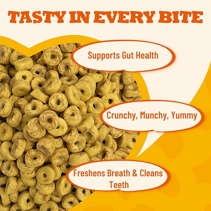 8 oz Pumpkin Treats Digestive Support Catnip Flavor Healthy Cat Snacks Training Biscuits Cat Treats