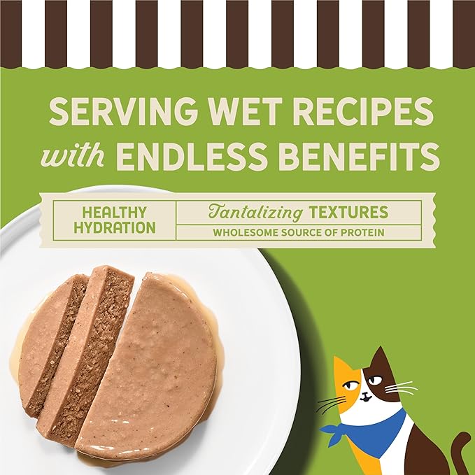 Merrick Purrfect Bistro Grain Free Premium Soft Canned Pate Adult Wet Cat Food, High Protein Turkey Recipe - (Pack of 24) 3 oz. Cans