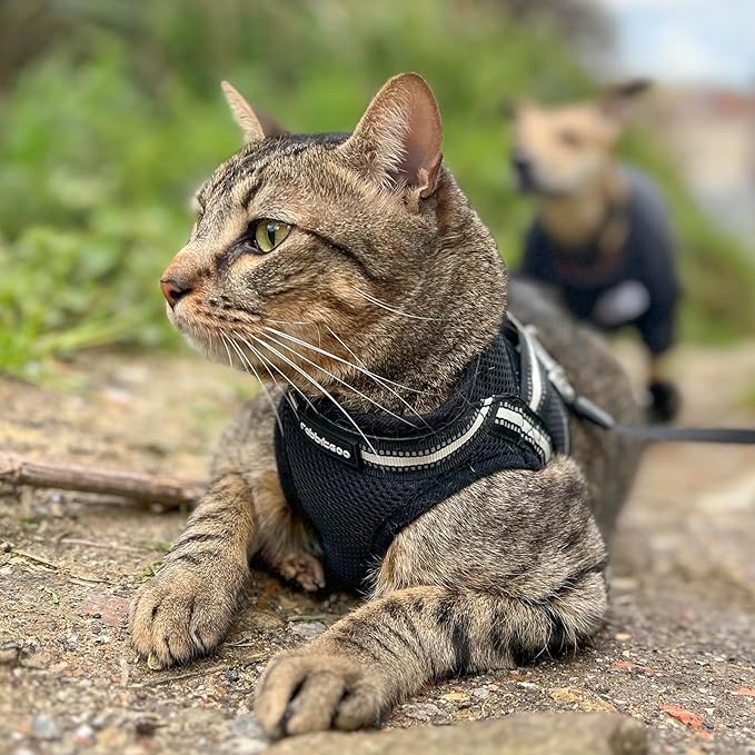 rabbitgoo Cat Harness and Leash Set for Walking Escape Proof, Adjustable Soft Kittens Vest with Reflective Strip for Cats, Comfortable Outdoor Vest, Black, S