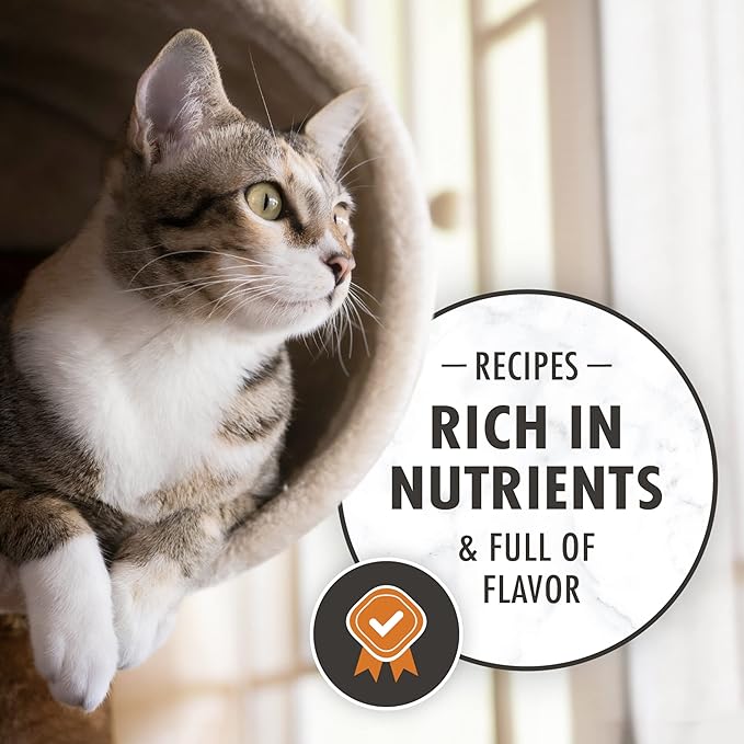 Nutro Wholesome Essentials Natural Dry Cat Food, Sensitive Chicken, Rice & Peas Recipe Kibble, 3 lb. Bag (Pack of 2)