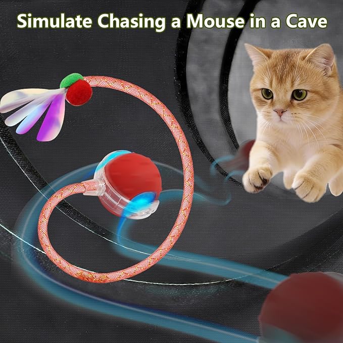 Interactive Cat Toy Ball Fast Rolling in Collapsible Cat Tunnel - 3 Speed Motion Activated, Auto Standby, Hide & Seek Hunting Toy for Indoor Cats & Kittens, USB Rechargeable, Boredom & Anxiety Relief