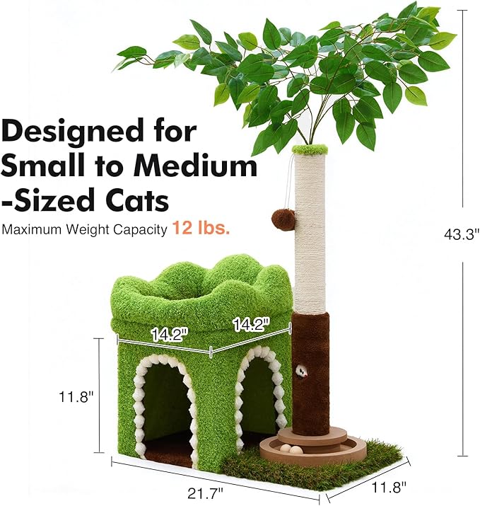 Woochpet Small Cat Tree with Scratching Post and Ball Track, Green Cat Tower with Lifelike Leaves for Kittens and Small Cats, 2-Door Cat Condo and Interactive Cat Toys for Indoor Cats
