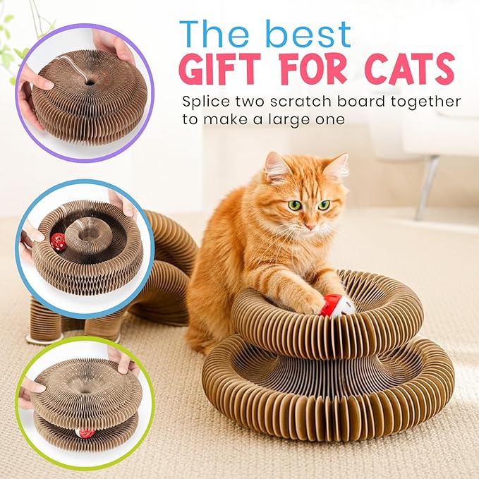 Kitty Curls Cat Toy (Large) Twisty Paws Kurlz | Magnetic Magic Organ Cat Scratcher | Interactive Cardboard with Bell Ball & Hanging Teaser | Honeycomb Design | 1 pcs Teaser 1 pcs Scratcher