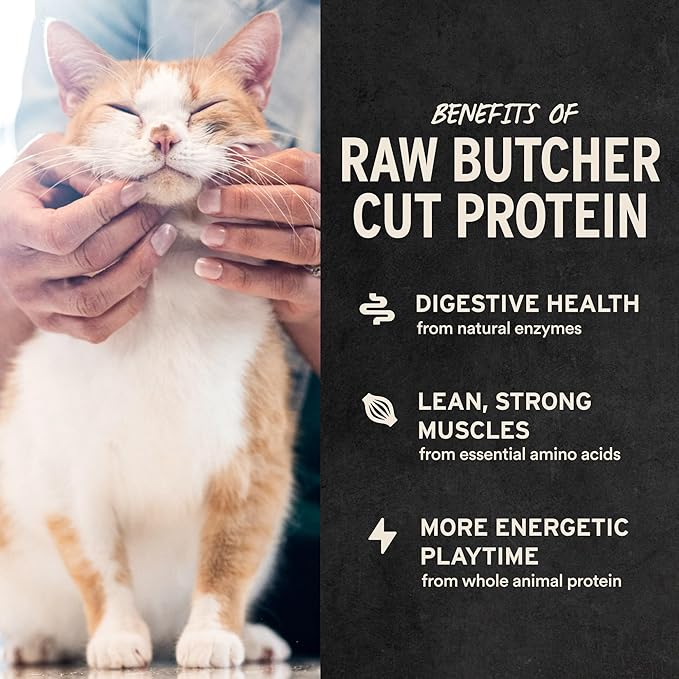 Vital Essentials Freeze Dried Cat Treats | Chicken Breast, Single Ingredient | Premium Quality | Grain Free, Healthy Treats for Cats, 2.1 oz Bag