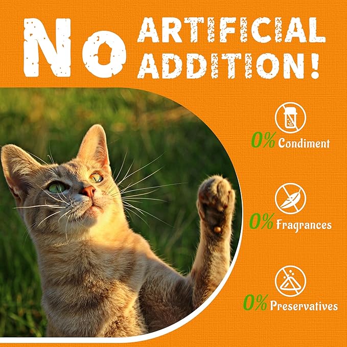 Just Try 36 OZ Pumpkin Cat Treats Cat Constipation Relief Hairball Control Healthy Salmon Snacks Training Biscuits Treats for Digestive Support Low Calorie Kitten Snacks