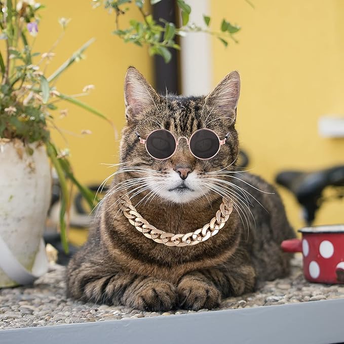 Molain Cat Sunglasses Gold Chain Costume Decorations UV Protection Classic Retro Puppy Retro Sunglasses Faux Photo Props
