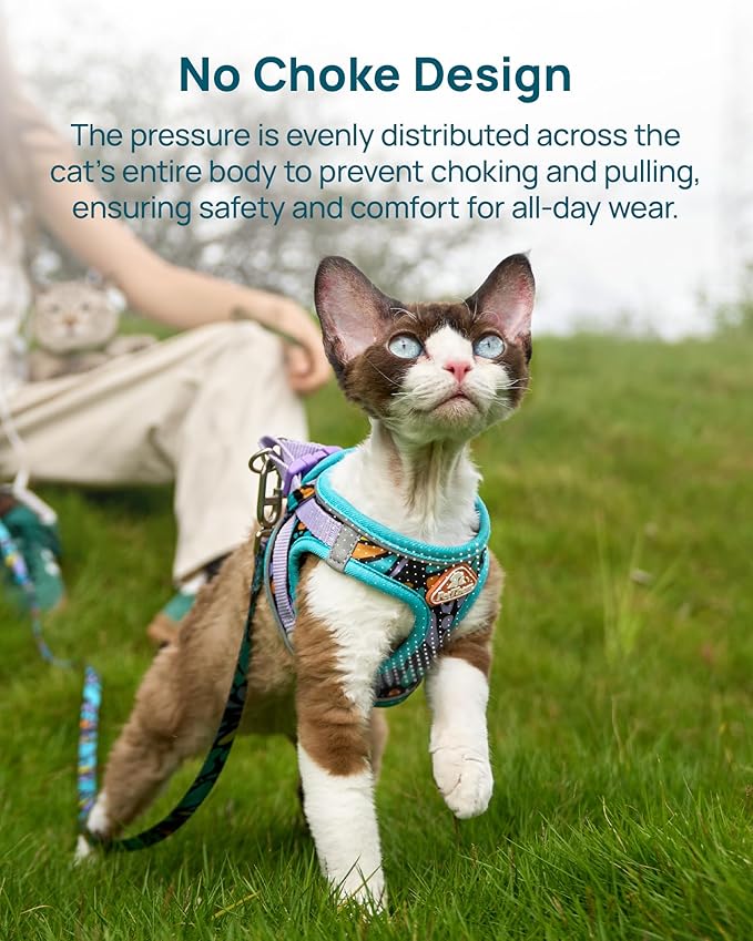 PetThem Upgraded Cat Harness and Leash Set - Step-in Escape Proof Adjustable Cat Harness, Comfortable Soft Lightweight, Reflective Harness for Walking, Travel, Camping (Butterfly Magic, M)