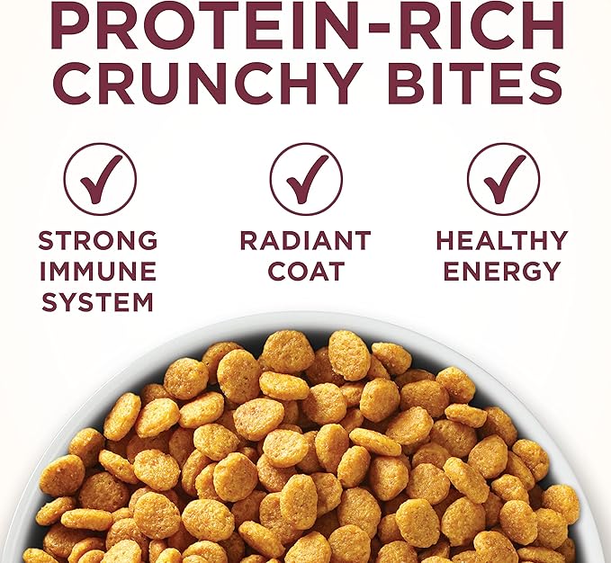 Purina ONE High Protein Dry Cat Food, +Plus Urinary Tract Health Formula - 7 lb. Bag