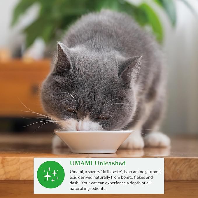 INABA Dashi Delights for Cats, Shredded Chicken Side Dish with Bonito Flake Broth, Cat Food Complement with Taurine & Green Tea Extract, 2.5 Ounce Cup, 6 Cups Total, Chicken Recipe