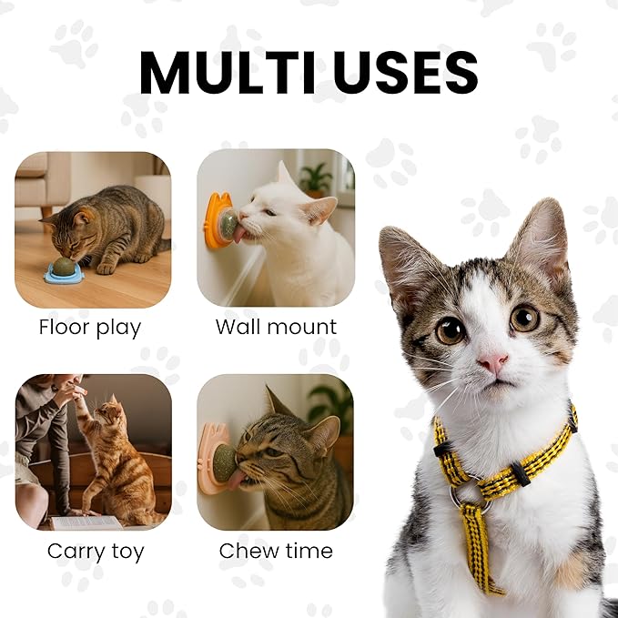 Catnip Balls for Cats Wall - 3 Pack Edible Kitty Toys for Cats Lick - Safe Healthy Kitten Chew Toys - Teeth Cleaning Dental Cat Toys - Silvervine 2 Inch Pink Blue Orange