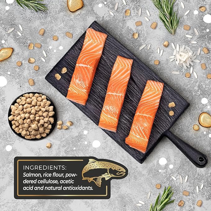 IKAI - Patagonian Salmon Cat Treats - Premium 100% Natural Treats - Hypoallergenic, with Omega 3 & 6 for Healthy Skin & Glossy Coat, Oven-Baked, Grain-Free, No Added Salt - 3 oz
