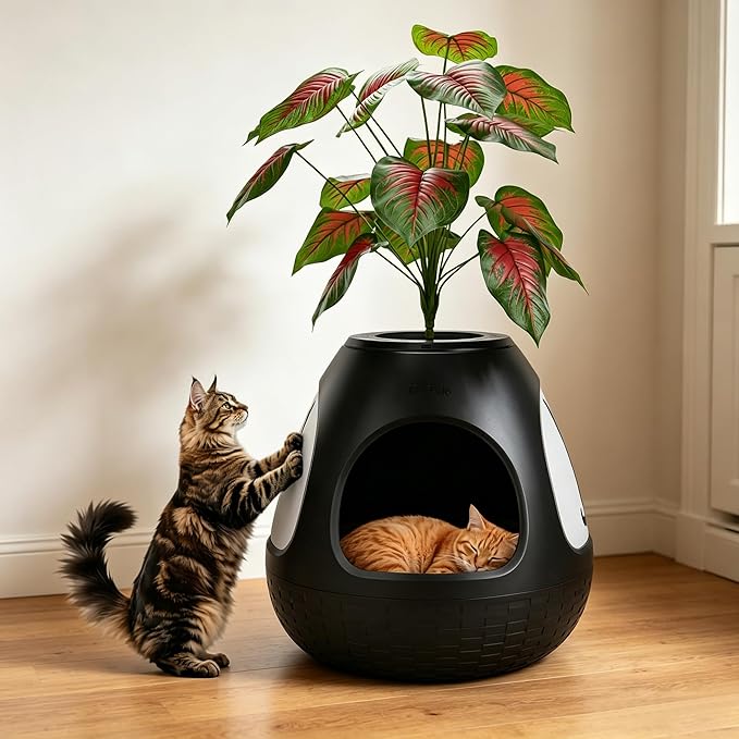 Copod8 Cat Bed Cave for Indoor Cats 4-in-1 Kitten House Cat Bed with Replaceable Scratching Board, Heating Pad, Air Purifier and Artificial Plant for Cats Rabbits Guinea Pigs Small Dogs (Black)