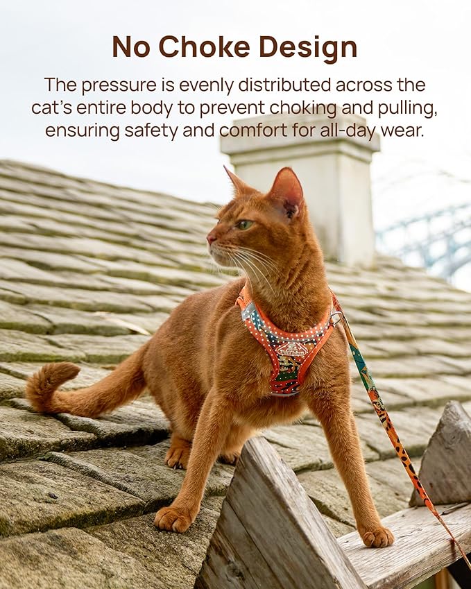 PetThem Upgraded Cat Harness and Leash Set - Step-in Escape Proof Adjustable Cat Harness, Comfortable Soft Lightweight, Reflective Harness for Walking, Travel, Camping (King of The Jungle, M)