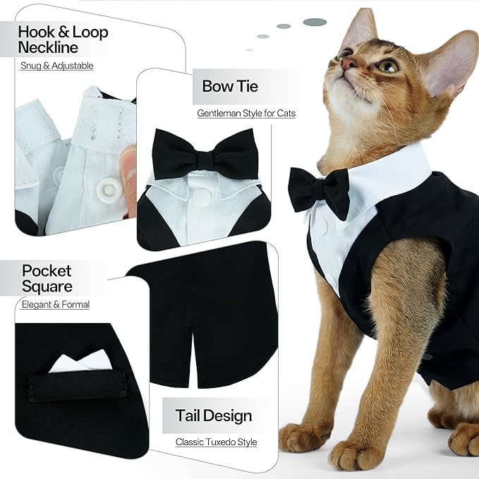 PUMYPOREITY Cat Tuxedo Suit Formal Wear with Bow Tie, Soft Skin-Friendly Cat Costumes for Cats Only, Elegant Outfit for Male Female Cats, Perfect for Wedding Birthday Photo Shoots, S, Black