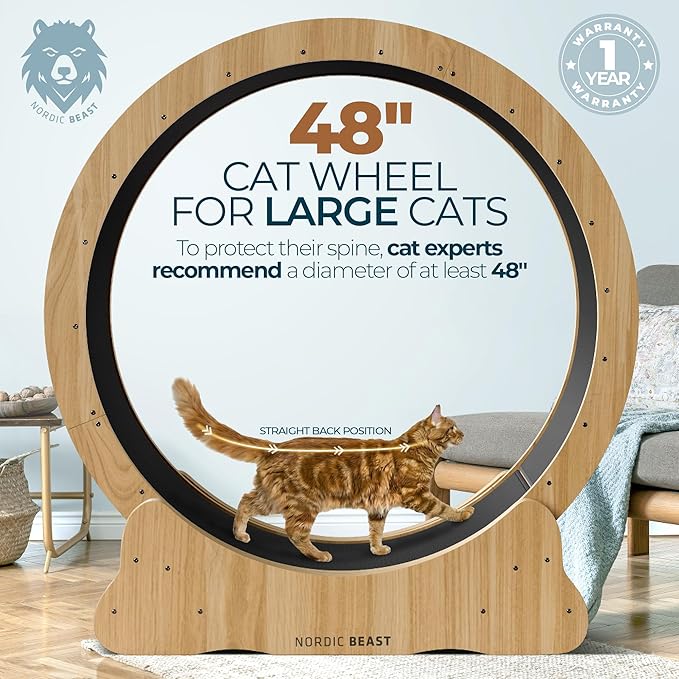 Walnut Wood 48'' XL Cat Wheel - Cat Wheels for Indoor Cats Which Doesn't Negatively Affect Your Cat's Spine - 15.7'' Extra Wide Walnut Exercise Wheel - Fits 2 Cats Side-by-Side, 1-Year Warranty