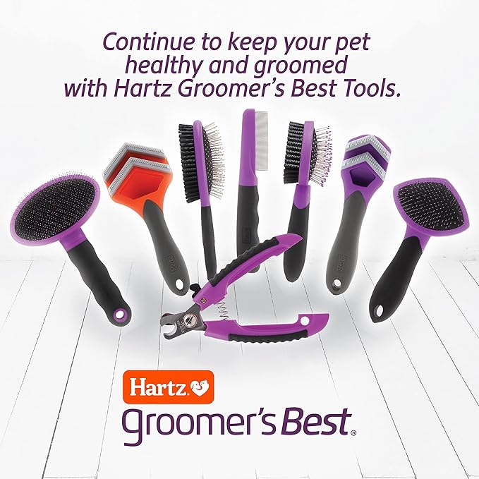 Hartz Groomer's Best Small Slicker Brush for Cats and Small Dogs, Black/Violet, 1 Count (Pack of 3)