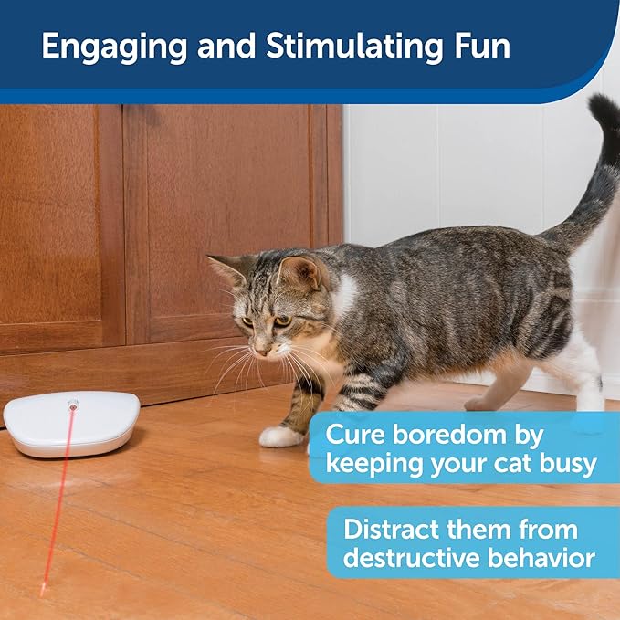 PetSafe Laser Tail - Automatic Cat Laser Toy - Interactive - Relieves Anxiety - Moves Around Floor to Create Random Laser Patterns - Hands-Free Play - Auto Shutoff Prevents Overstimulation