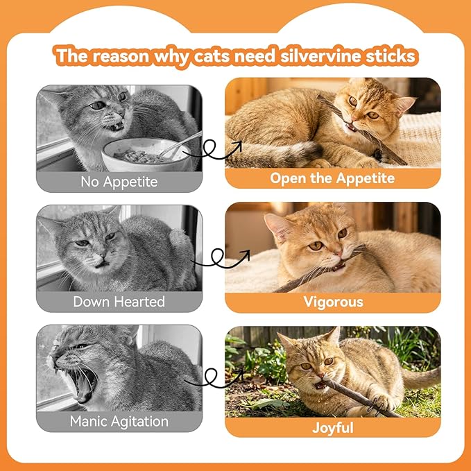 5 Pack Silvervine Sticks for Cats, Natural Cat Chew Toys for Teeth Cleaning, Kitten Teething Toys for Indoor Cats & Aggressive Chewers, Dental Care Slivervine Sticks