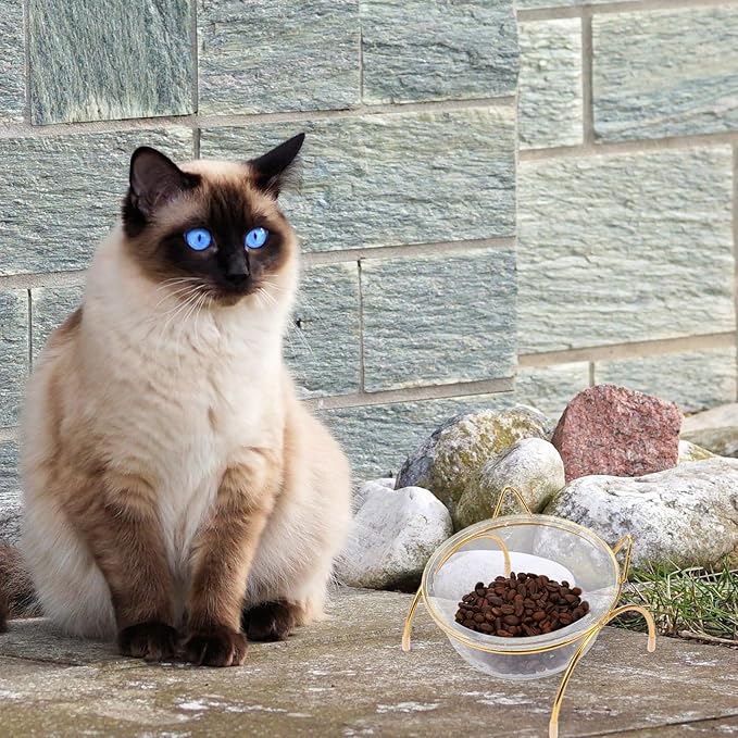 TOYANDONA Pet Elevated Cat Bowl Set with Slanted Ceramic Bowl and Single Metal Stand, High Base Raised Pet Feeding and Watering Dish for Cats and Kittens