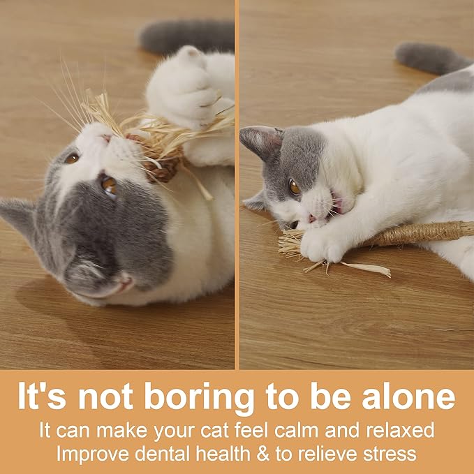 PAZ'S GIFT Cat Toys Catnip Toys Cat kick Toy Natural Silvervine Catnip Sticks Kitten Teeth Molar Chew Toys, cat Indoor Toys Interactive cat Cleaning Teeth,Reduce Obesity and Loneliness 3-Pack