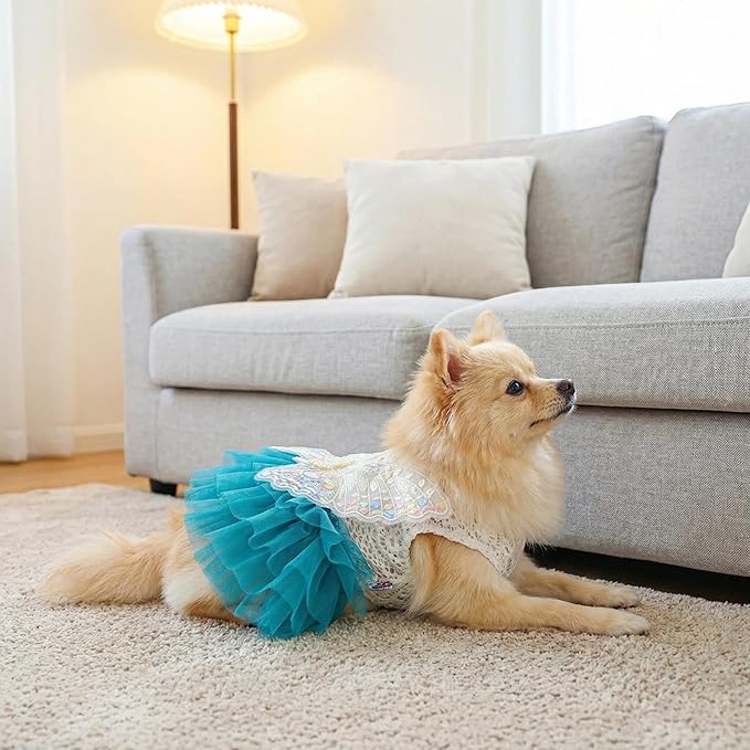 Fairy Dog Dress for Small Dogs & Cats, Lake Blue Princess Outfit with Embroidered Butterfly Wings, Lace Top & Soft Tulle Skirt, Snap Closure (XS)