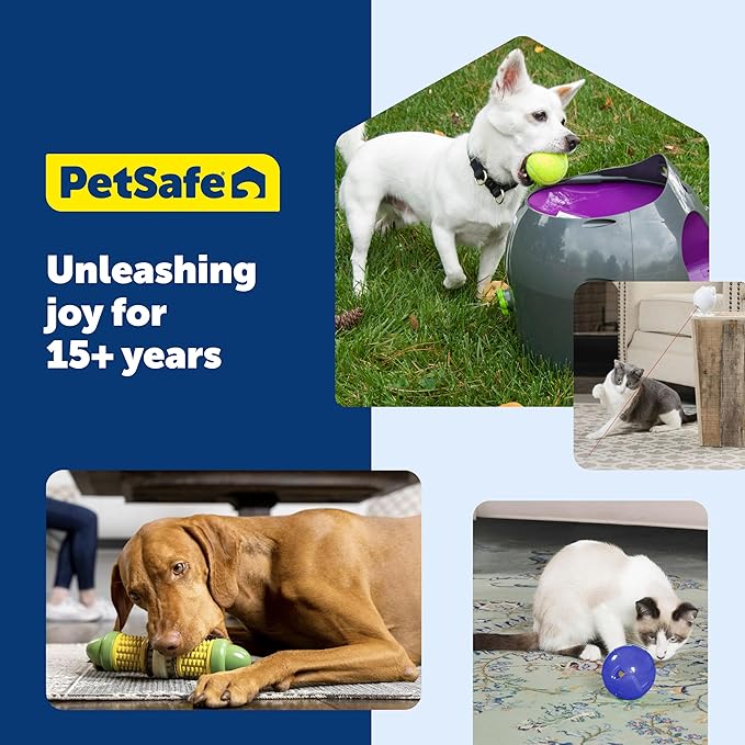 PetSafe Cheese - Interactive, Electronic Cat Toy - Peek-A-Boo Mouse Hunt Game - Hide and Seek for Bored and Anxious Cats - Kitten Teaser Toy - Automated Cat Toy for Cat Enrichment and Exercise