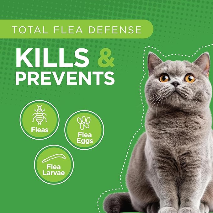 TevraPet Actispot II Flea Treatment for Large Cats 9+ lbs | 6 Doses | Powerful Prevention and Control