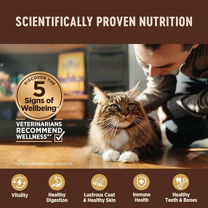 Wellness CORE Tiny Tasters Pate Variety Pack Adult Wet Cat Food, Natural, Protein Rich, Grain Free, Land Recipes, 1.75 oz, Pack of 12 Pouches