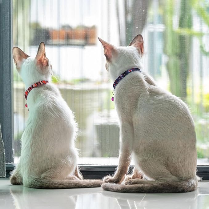 2 Pack Cat Collars with Bell - Breakaway Soft Collar for Girl & Boy Cats, Adjustable Safety Cute Kitten Collars – Comfortable Stylish Patterned Print Design Lightweight (Geometric + Boho)