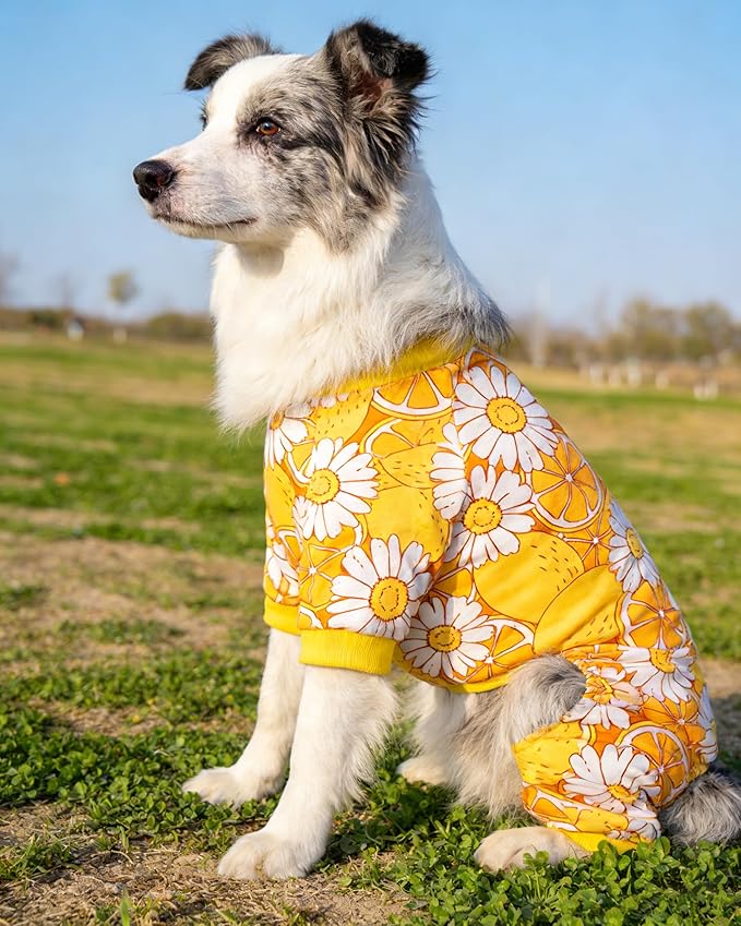 PET SHOW 4 Pack Dog Pajamas for Large Dogs Girl Boy Dog Clothes Soft Stretchy PJs Dinosaur Car Jumpsuit Puppy Daisies Cow Jammies Onesies Outfits with Sleeve Pets Costume, XXXL