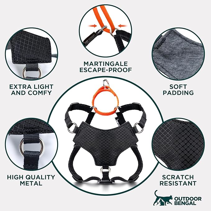 OutdoorBengal Always On™ Martingale Cat Harness and Leash Escape Proof Set – Vest for All-Day Kitten Adventures – Adult Cats - Cat Leash and Harness Escape Proof + Leash (Black, M/L)