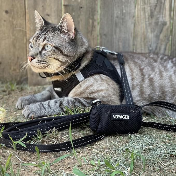 Voyager Step-in Pet Harness - All Weather Mesh, Adjustable Step in Harness for Cats and Dogs by Best Pet Supplies - 307S Black, S