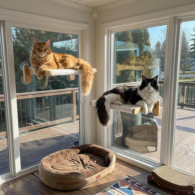 Cat Window Perch with Bird Feeder – Upgraded Bird Watching Solution for Indoor Cats, Foldable Cat Hammock Seat with Strong Suction Cups, Relieves Boredom & Stimulates Natural Instincts (Nature-2)