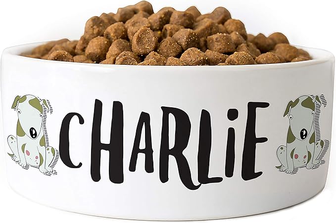 Personalized Dog Bowl, Ceramic, 6 inches