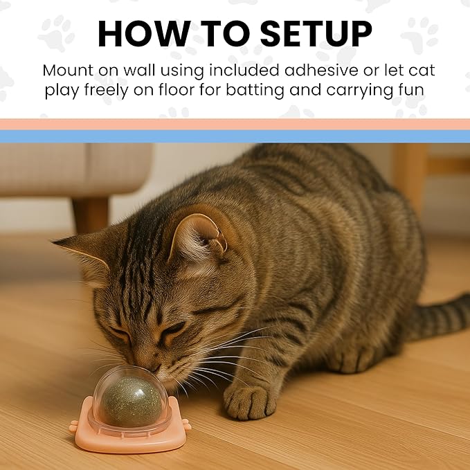 Catnip Balls for Cats Wall - 3 Pack Edible Kitty Toys for Cats Lick - Safe Healthy Kitten Chew Toys - Teeth Cleaning Dental Cat Toys - Silvervine 2 Inch Pink Blue Orange