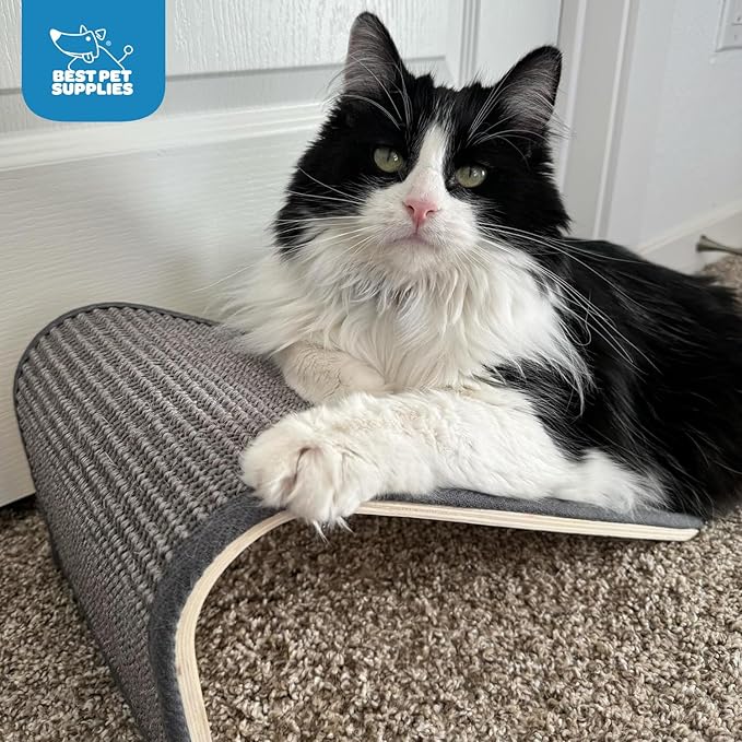 Best Pet Supplies Catify Cat Scratcher, Fun Interactive Scratchers, Posts, Poles, Claw Safe, Furniture Saver Indoor Play Support Natural Cat Behaviors Heavy Duty - Ramp (Cream), 15 x 9