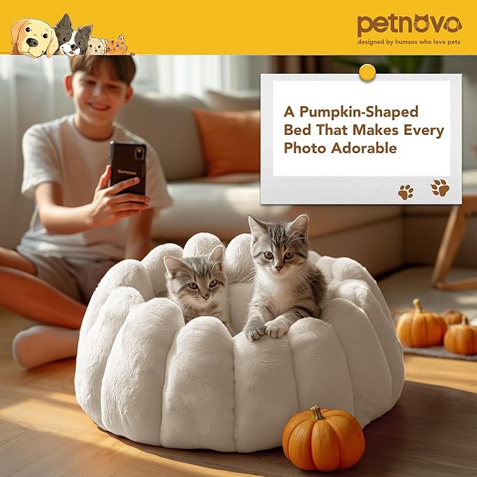 PETNOVO Pumpkin Cat Bed, Cream Plush Donut Cuddler with High Bolster, Non-Slip Cozy Nest for Indoor Cats up to 13 lb and Small Dogs, 20L x 20W x 12H Inch